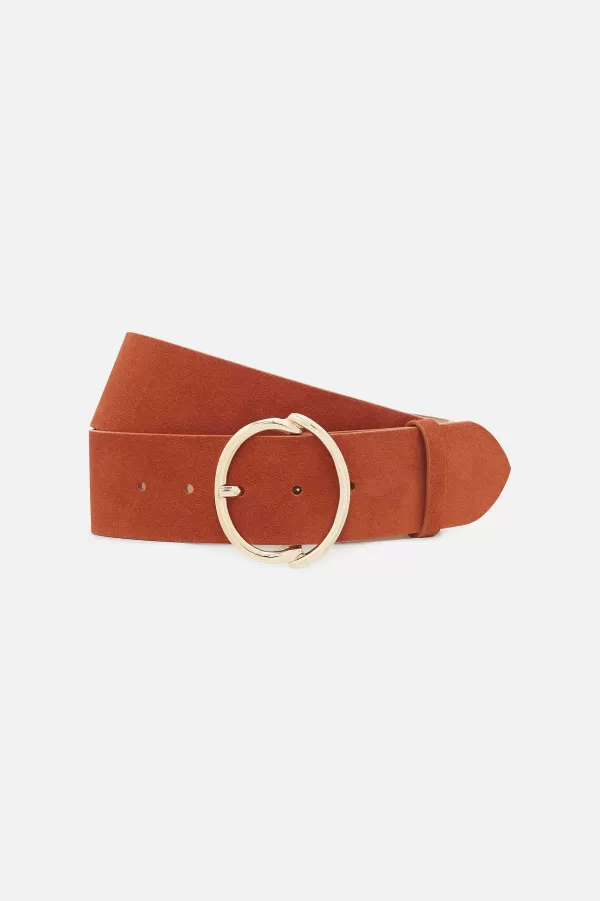 Sale CAROLL Ceinture Babel 100% Cuir Femme Marron Fonce